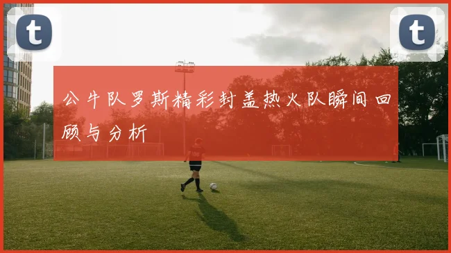 公牛队罗斯精彩封盖热火队瞬间回顾与分析