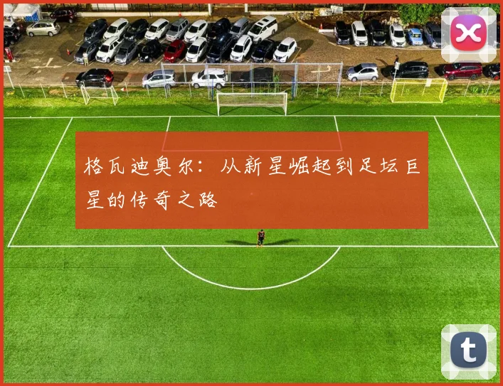 格瓦迪奥尔：从新星崛起到足坛巨星的传奇之路