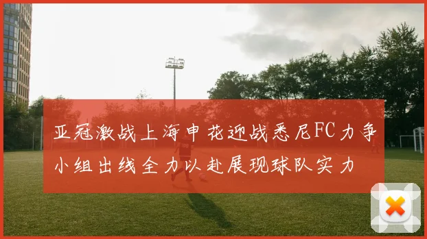 亚冠激战上海申花迎战悉尼FC力争小组出线全力以赴展现球队实力