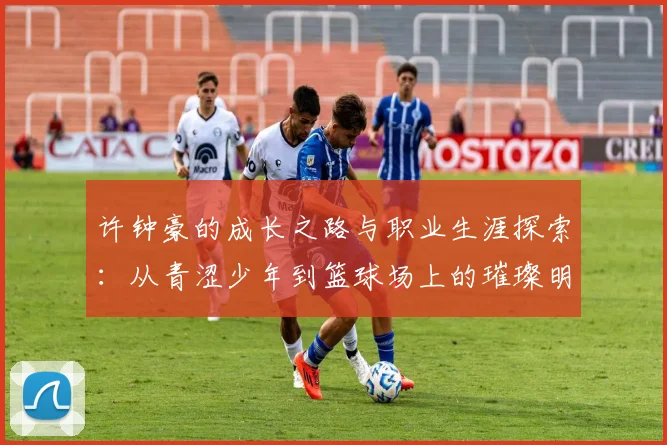许钟豪的成长之路与职业生涯探索：从青涩少年到篮球场上的璀璨明星