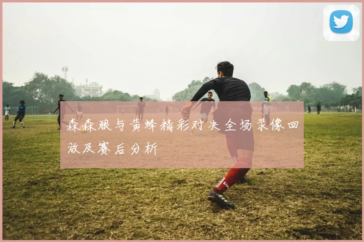 森森狼与黄蜂精彩对决全场录像回放及赛后分析